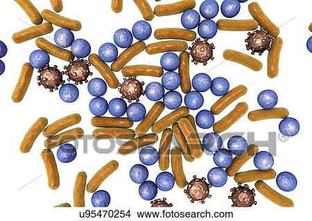 Picture - Various microbes, illustration. Fotosearch