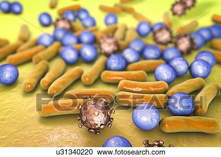 Various microbes, illustration View Large Photo Image Stock Image - Various microbes, illustration. Fotosearch