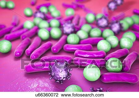 Stock Image - Various microbes, illustration. Fotosearch