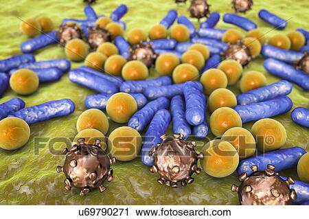 Stock Image - Various microbes, illustration. Fotosearch