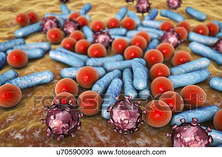 Stock Image - Various microbes, illustration. Fotosearch