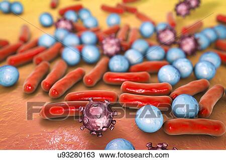 Various microbes, illustration View Large Photo Image Stock Image - Various microbes, illustration. Fotosearch
