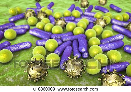 Stock Photo - Various microbes, illustration. Fotosearch