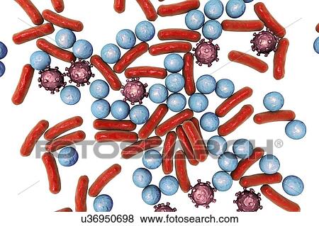 Stock Photo - Various microbes, illustration. Fotosearch