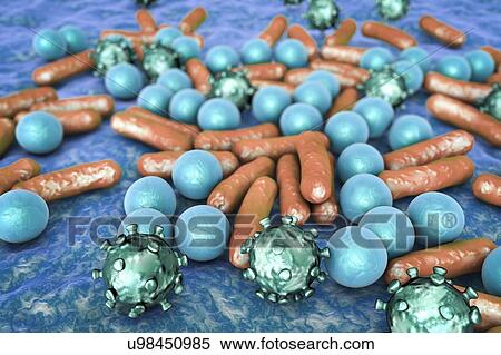 Stock Photography - Various microbes, illustration. Fotosearch