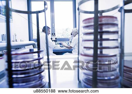 View from between petri dish racks of scientists chatting in laboratory View Large Photo Image Stock Photo - View from between petri dish racks of scientists chatting in laboratory. Fotosearch