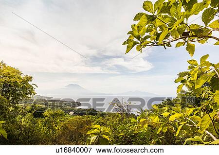 View of mist over sea through foliage, Sampaln, Nusa Penida, Indonesia View Large Photo Image Stock Photo - View of mist over sea through foliage, Sampaln, Nusa Penida, Indonesia. Fotosearch