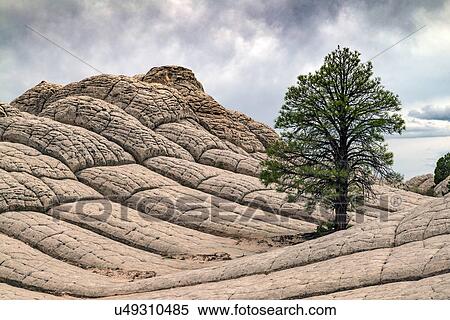 Stock Photography - White Pocket, Paria Plateau, Arizona, USA. Fotosearch