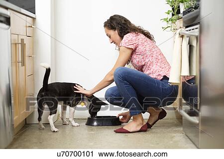 Woman feeding dog in kitchen View Large Photo Image Stock Image - Woman feeding dog in kitchen. Fotosearch