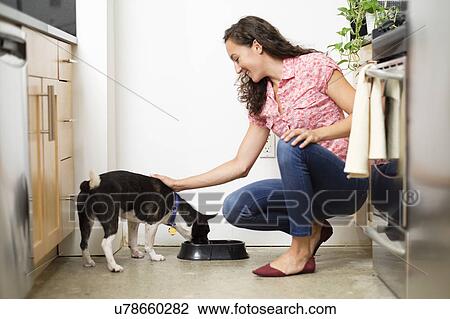 Woman feeding dog in kitchen View Large Photo Image Stock Image - Woman feeding dog in kitchen. Fotosearch