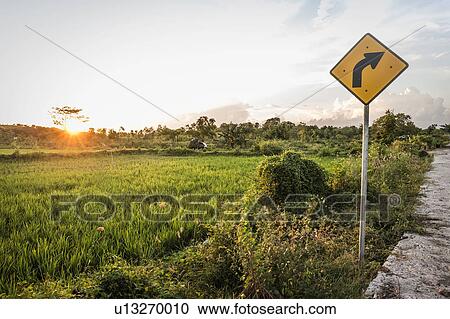 Stock Image - Yellow arrow sign and green field landscape at sunset, Lombok, Indonesia. Fotosearch