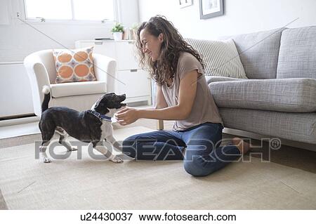 Stock Photo - Young woman playing with dog in living room. Fotosearch