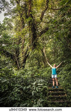 Stock Photo - Young woman standing on stairway looking up at rainforest, Wana Giri, Bali, Indonesia. Fotosearch