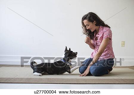 Young woman training her dog View Large Photo Image Picture - Young woman training her dog. Fotosearch