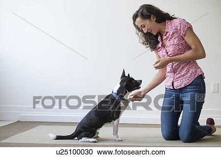 Stock Image - Young woman training her dog. Fotosearch