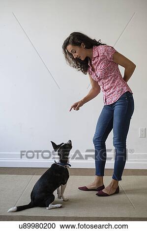 Young woman training her dog View Large Photo Image Stock Image - Young woman training her dog. Fotosearch