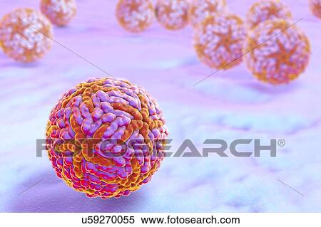 Stock Photography - Zika viruses, illustration. Fotosearch