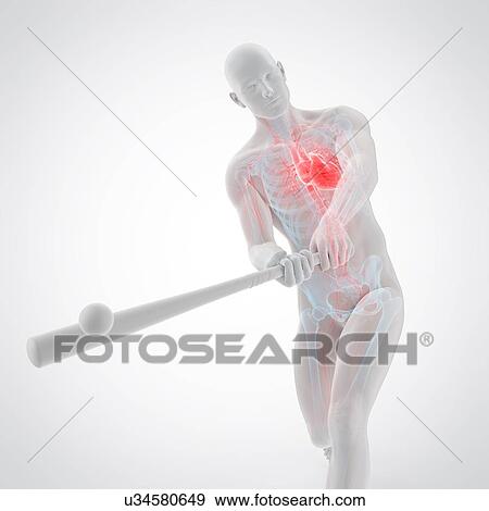 Stock Photo - Anatomy of a baseball player, illustration. Fotosearch