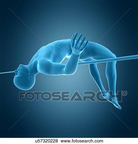 Stock Photo - Anatomy of person high jumping, illustration. Fotosearch