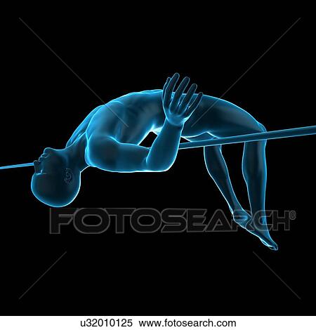Stock Photography - Anatomy of person high jumping, illustration. Fotosearch