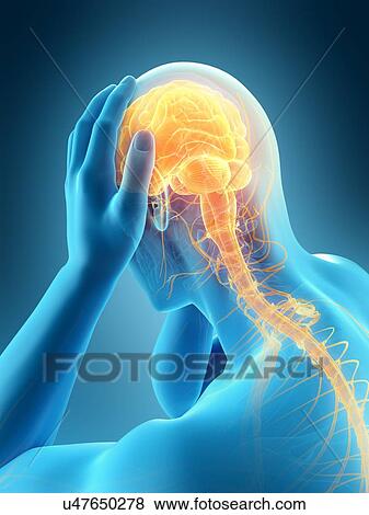 Anatomy of person with headache, illustration View Large Photo Image Stock Photo - Anatomy of person with headache, illustration. Fotosearch