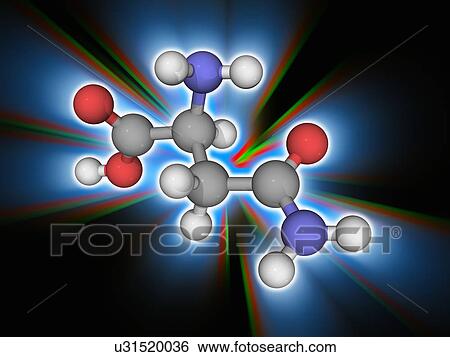 Asparagine organic compound molecule View Large Photo Image Stock Photograph - Asparagine organic compound molecule. Fotosearch