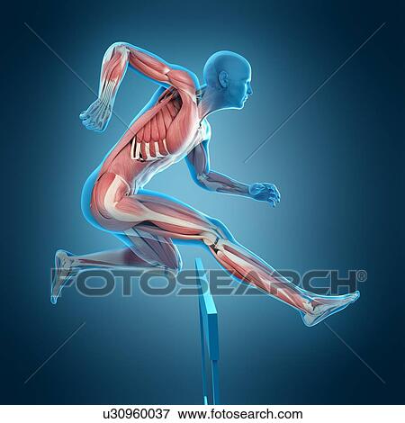 Stock Photo - Athlete hurdling over hurdle, illustration. Fotosearch