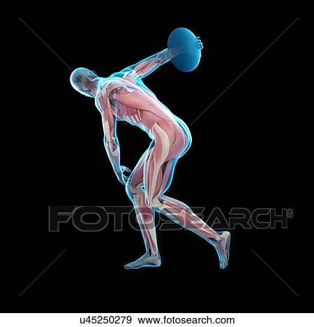 Athlete throwing discus, illustration View Large Photo Image Stock Photo - Athlete throwing discus, illustration. Fotosearch