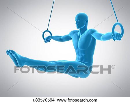 Picture - Athlete using gymnastic rings, illustration. Fotosearch