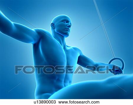 Stock Image - Athlete using gymnastic rings, illustration. Fotosearch