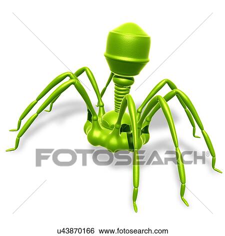Stock Photograph - Bacteriophage virus, illustration. Fotosearch