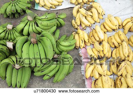 Stock Image - Bananas for sale in market. Fotosearch