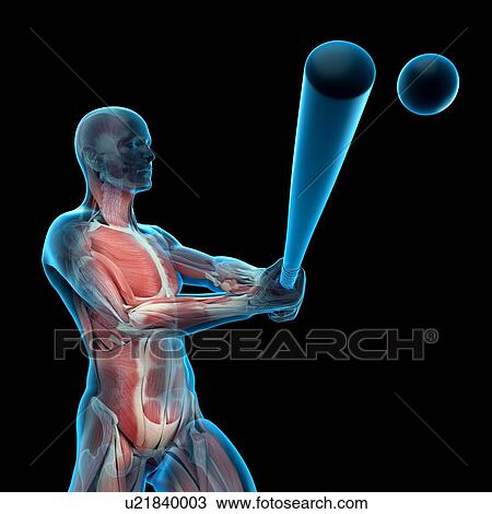 Stock Image - Baseball player, illustration. Fotosearch