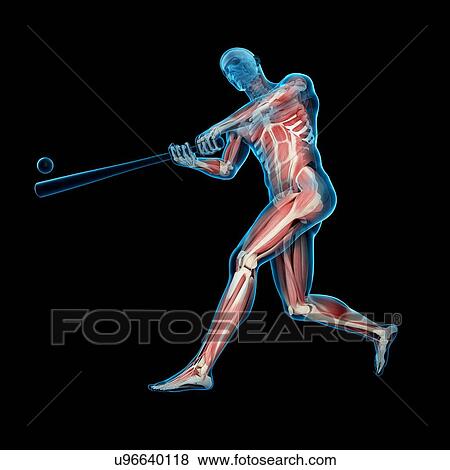 Stock Photo - Baseball player, illustration. Fotosearch