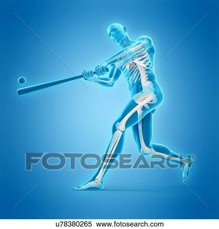 Baseball player, illustration View Large Photo Image Stock Photography - Baseball player, illustration. Fotosearch
