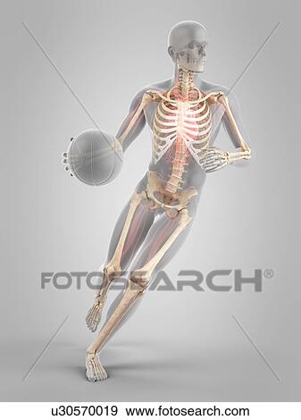 Stock Photo - Basketball player, illustration. Fotosearch