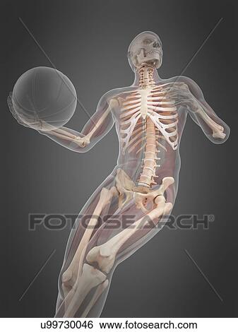 Stock Photograph - Basketball player, illustration. Fotosearch