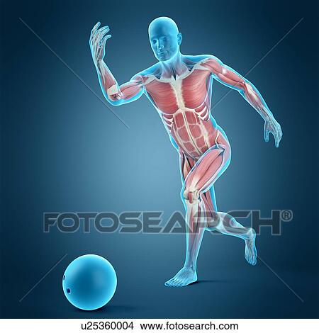 Picture - Bowling player, illustration. Fotosearch