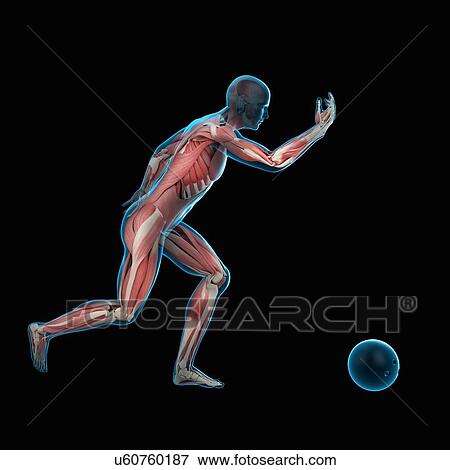 Bowling player, illustration View Large Photo Image Stock Photo - Bowling player, illustration. Fotosearch