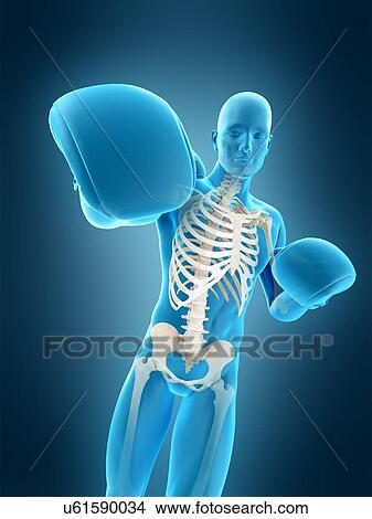 Boxer, illustration View Large Photo Image Picture - Boxer, illustration. Fotosearch