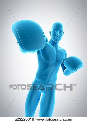 Boxer, illustration View Large Photo Image Stock Photo - Boxer, illustration. Fotosearch