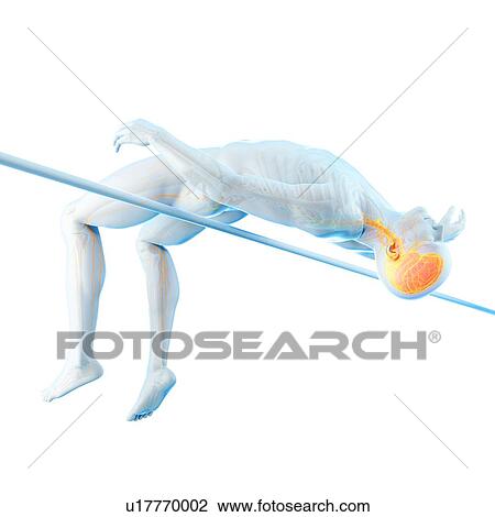 Brain of person high jumping, illustration View Large Photo Image Stock Image - Brain of person high jumping, illustration. Fotosearch