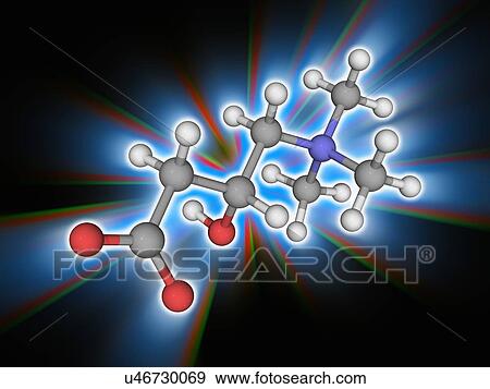 Stock Photo - Carnitine organic compound molecule. Fotosearch