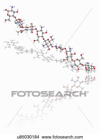 Picture - Chitosan polymer chain. Fotosearch