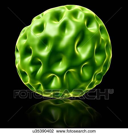 Chlamydia bacteria, illustration View Large Photo Image Stock Image - Chlamydia bacteria, illustration. Fotosearch