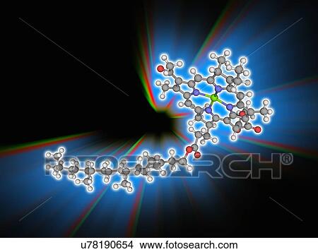 Chlorophyll B organic compound molecule View Large Photo Image Picture - Chlorophyll B organic compound molecule. Fotosearch
