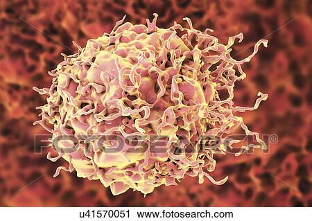 Stock Image - Colon cancer cell, illustration. Fotosearch