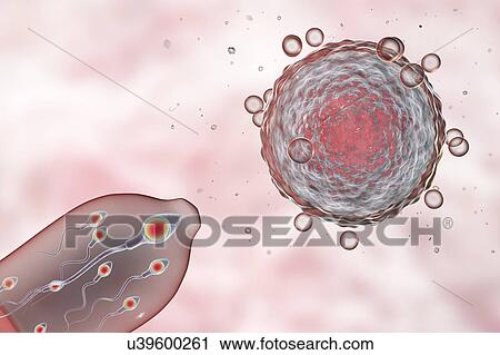Stock Image - Contraception, conceptual illustration. Fotosearch