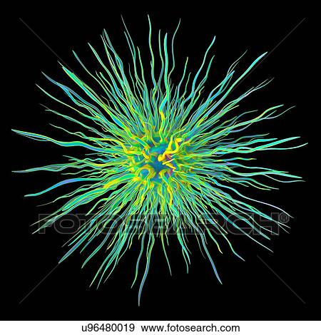 Dendrimer, artwork View Large Photo Image Stock Photo - Dendrimer, artwork. Fotosearch