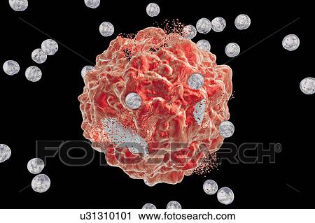 Stock Image - Destruction of a cancer cell, illustration. Fotosearch